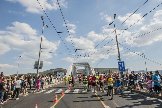 Semi marathon de Usti nad labem: le pont