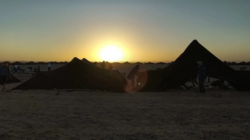 MDS: Le Bivouac