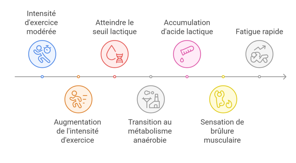 Transition en métabolisme anaérobie