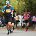 Allures et vitesses de course