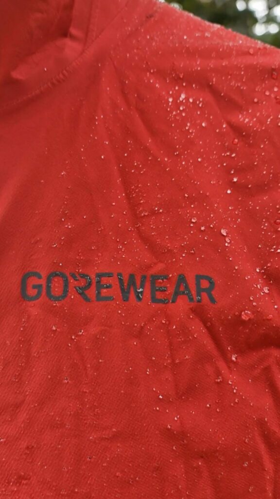 Gore Wear Concurve GTX