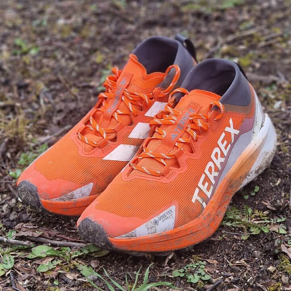 adidas Terrex Agravic GTX