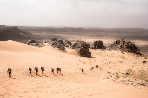 MDS 7 formats en 2026