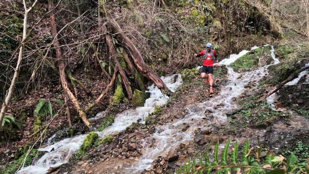adidas Terrex Agravic GTX : une chaussure trail imperméable pour conditions difficiles