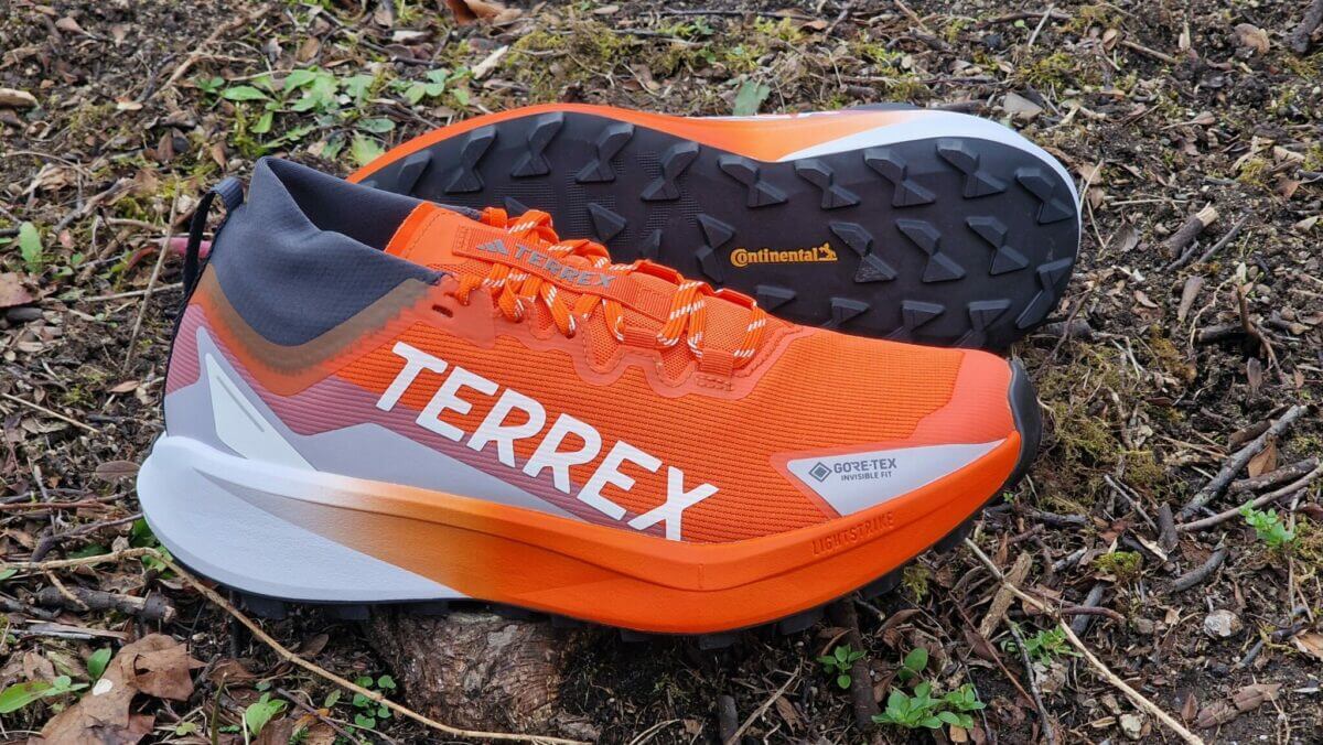 adidas Terrex Agravic Gore-tex