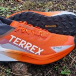 adidas Terrex Agravic Gore-tex