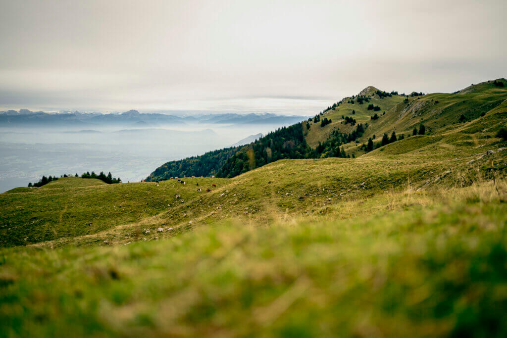 Un projet de grande traversée pour l’Ultra Trail des Montagnes du Jura