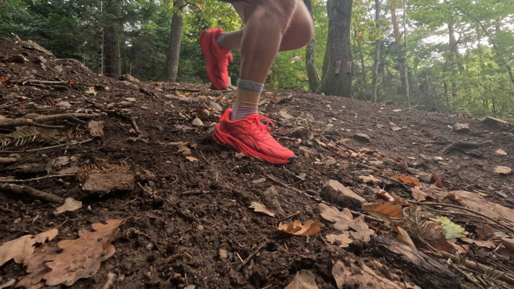 Mon avis après test sur la Puma Velocity Nitro Trail