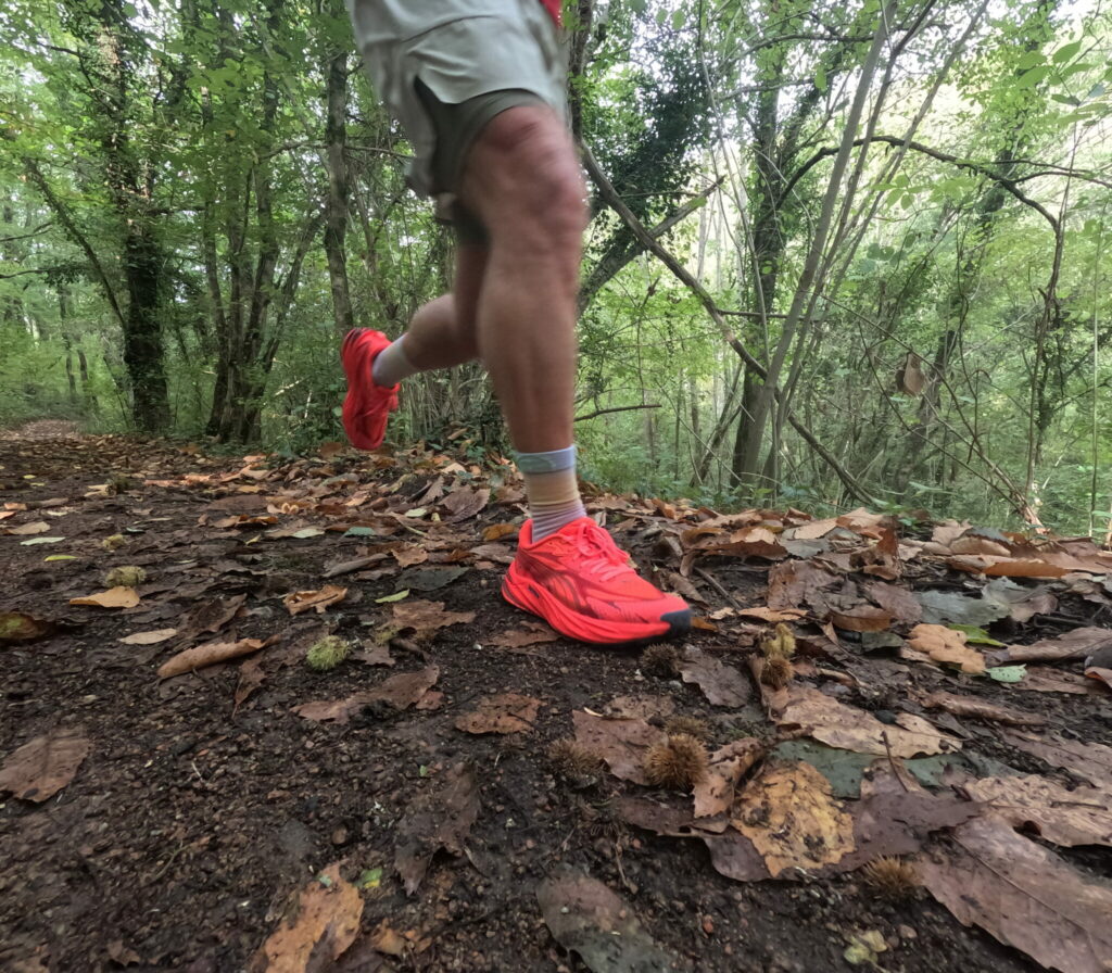 Puma Velocity Nitro Trail pour alterner route et chemin